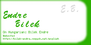 endre bilek business card